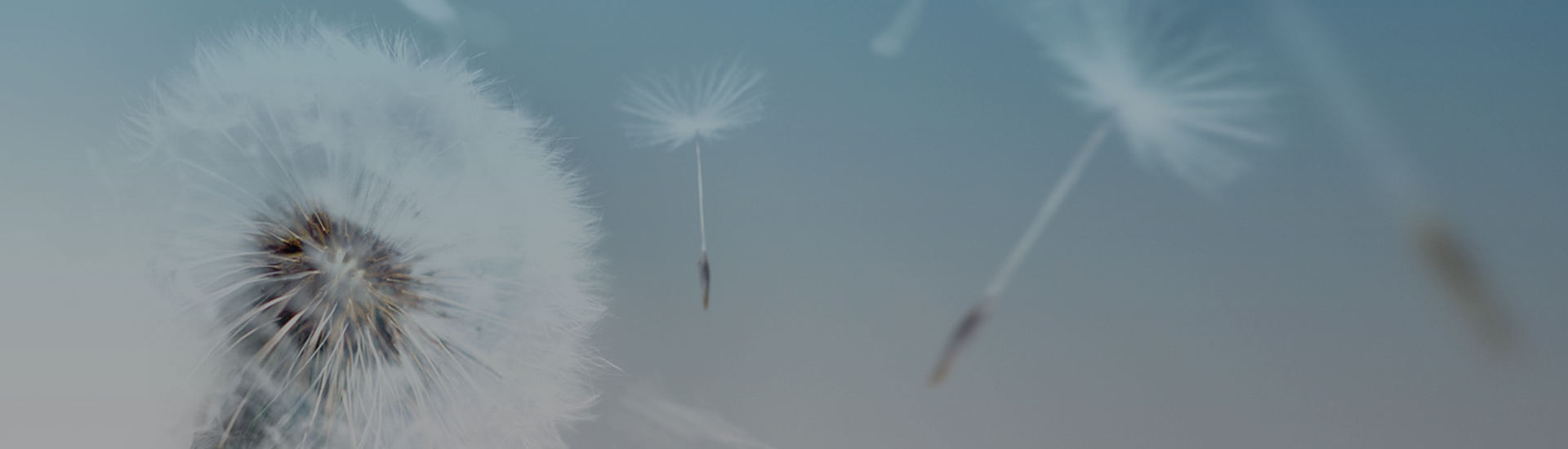 熱熔膠應用案例